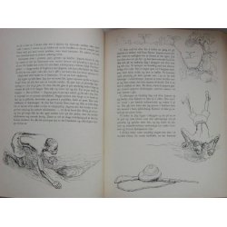 Dyrespor og vill Honning