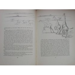 Dyrespor og vill Honning