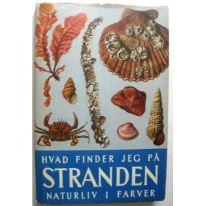 Hvad finder jeg p� stranden