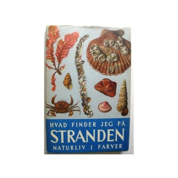 Hvad finder jeg p� stranden