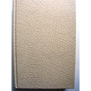 Gun and Camera in Southern Africa