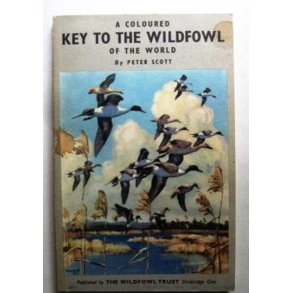 A Coloured Key to The Wildfowl of the World