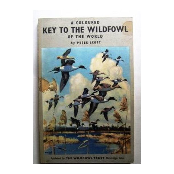 A Coloured Key to The Wildfowl of the World