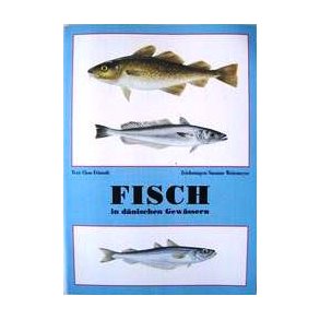 Fisch in dnischen Gewssern