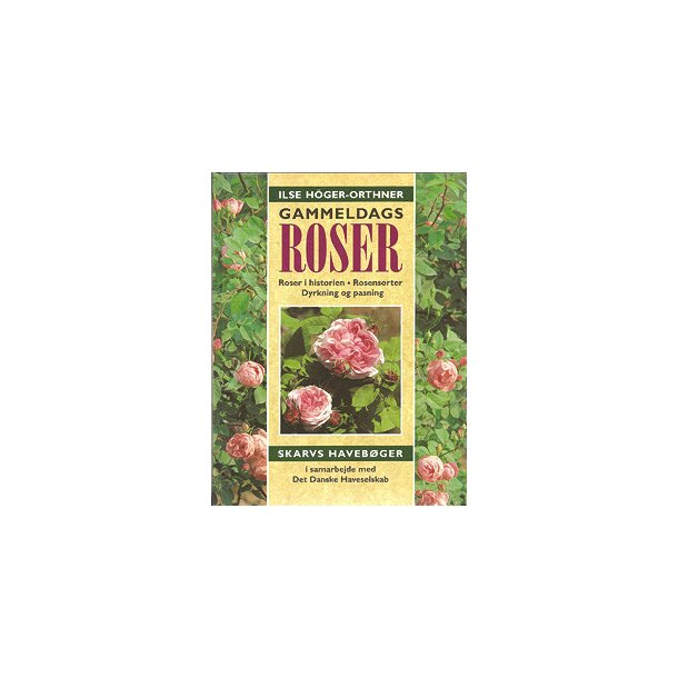 Gammeldags roser