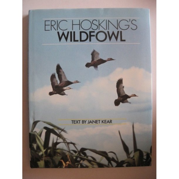 Eric Hosking's Wildfowl