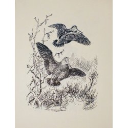 Eksklusive Leif Ragn Jensen-tryk: vildtmotiver. 4 stk. i mappe