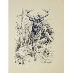 Eksklusive Leif Ragn Jensen-tryk: vildtmotiver. 4 stk. i mappe