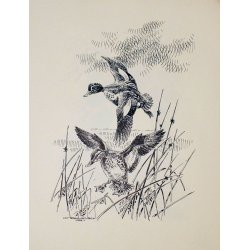 Eksklusive Leif Ragn Jensen-tryk: vildtmotiver. 4 stk. i mappe