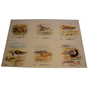 6 Tegninger af vadefugle, signeret og nummeret (sneppeserien). 