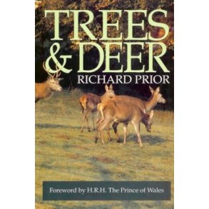 Trees and Deer 