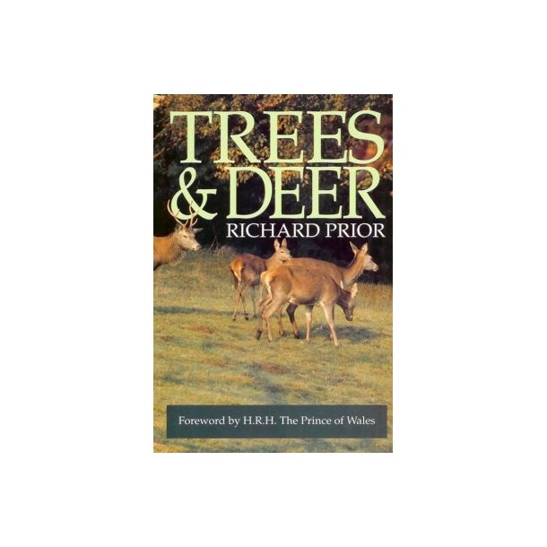 Trees and Deer 