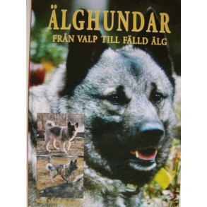 lghundar - frn valp till flld lg