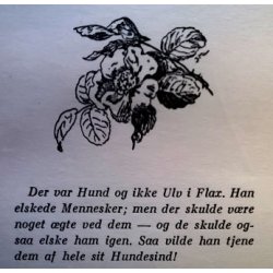 Flax dilius - en Schferhunds bogede Liv