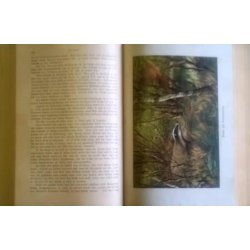 Diezels Niederjagd (1922. 13. udgave)