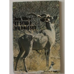 Et sted i vildnisset