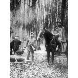 Hertugrve og kkkenharer