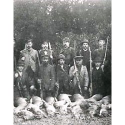 Hertugrve og kkkenharer