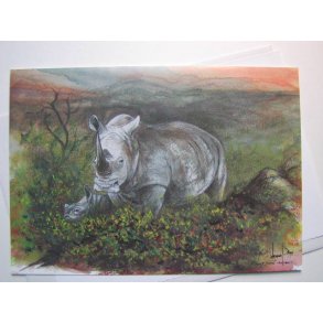 Kunstkort (LasseS): Hvidt nsehorn 