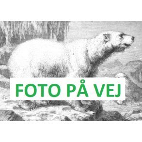 Grnland og Grnlandsisen