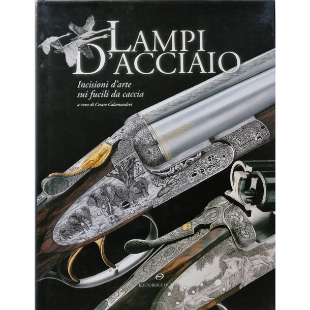 Lampi D'Acciaio