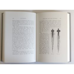 Flyfishing: Some New Arts and Mysteries 