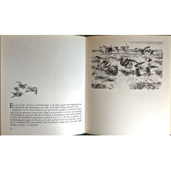 Udenfor alfarvej (2. udg.)