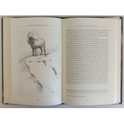 Storvildtjagt i Asien - bermte jgere beretter