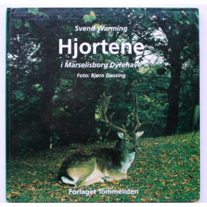 Hjortene i Marselisborg Dyrehave