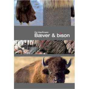 Bver og bison