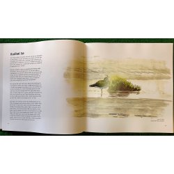 Tndermarsken - med hjt til himlen