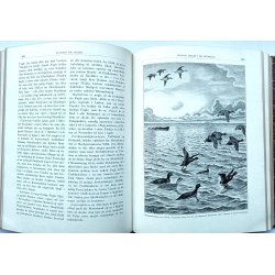 Haandbog for Jgere (1. udg. 1933-35 i halvlderbind)