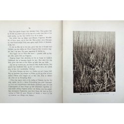 Fugle fra Fjorden - Rrdrum og Krhg (hft.)