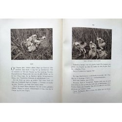 Fugle fra Fjorden - Rrdrum og Krhg (hft.)