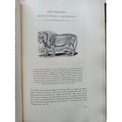 Jger, jagt og vildt verden over (orig. halvlder)