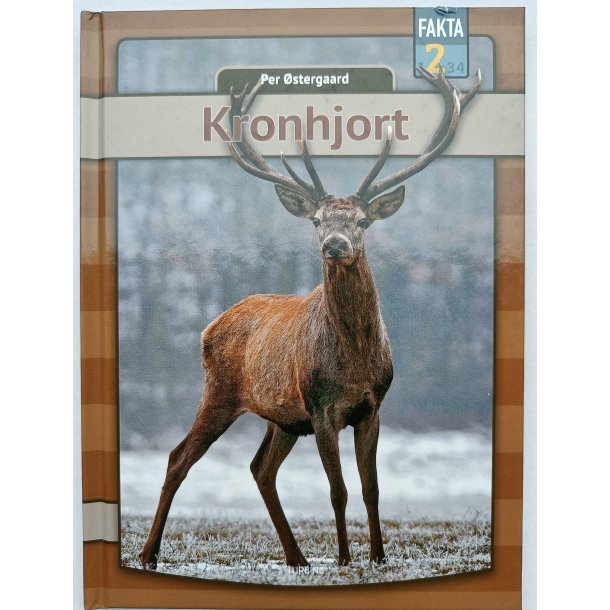 Kronhjort 