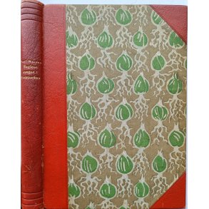 Fuglene synger i Slotsparken