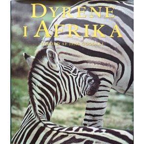 Dyrene i Afrika