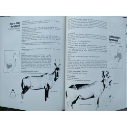 Hunting - on Safari in East and Southern Africa