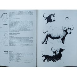 Hunting - on Safari in East and Southern Africa