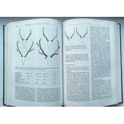 Bewirtschaftung von Schalenwild