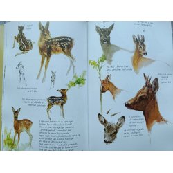 Fra en jgers skitsebog - jagt med blyant og bsse