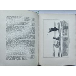 Jagt og Krig (halvlder)