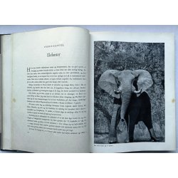 Farlige Afrika - sandheden om storvildtjagt (indb)