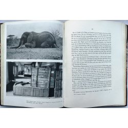 Mine afrikanske udflugter (halvlderindb.)