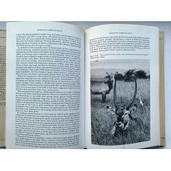 The Natural History of Antelopes