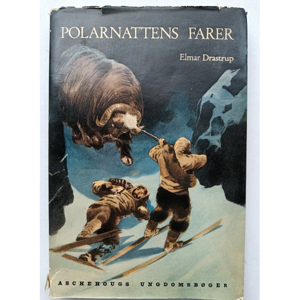 Polarnattens farer