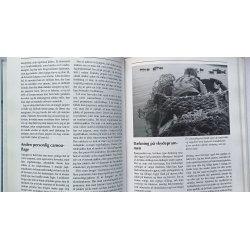 Hndbog i strand- og havjagt (FHV. BIB.)