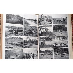 Over Bjerge og Dale, gennem rken og Urskov