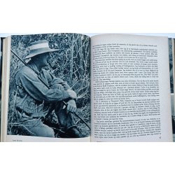 Storvildtjger (store udg., flot halvlder-indb.)